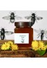pampeliškový med