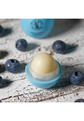 lip balm - blueberry & honey